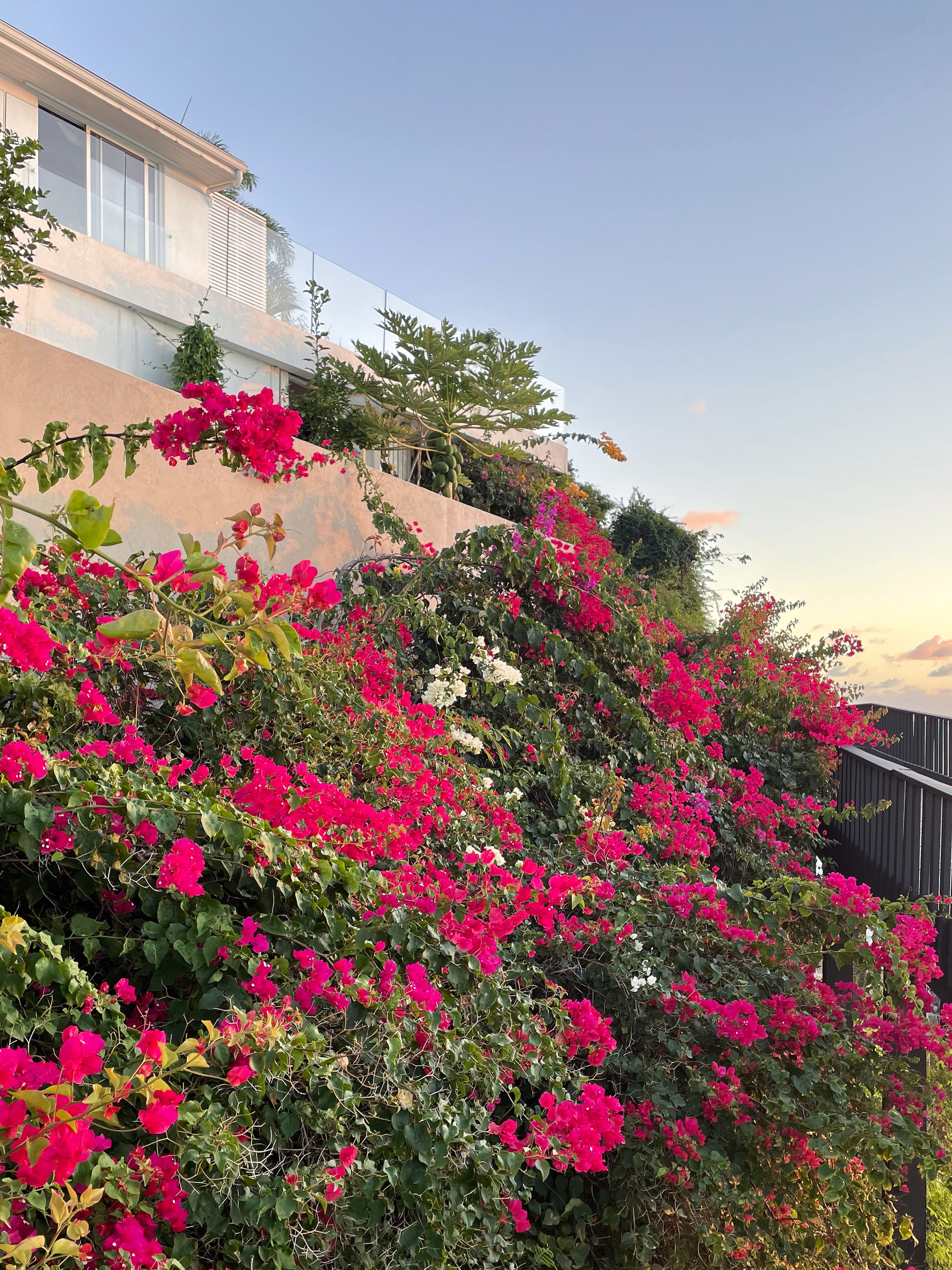 Antigua Tamarind Hills Multi-Level Beachfront Home Front View